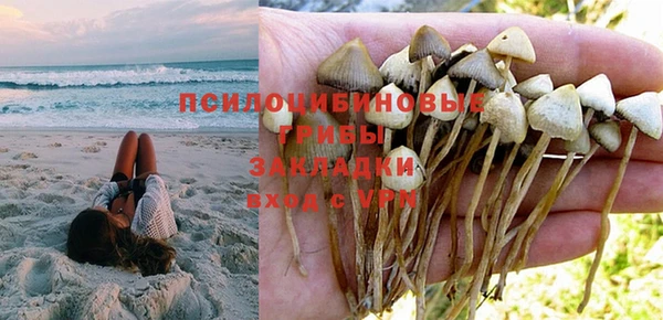 круглые Алексеевка