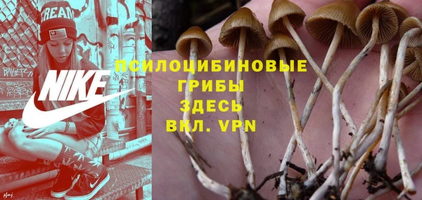хмурый Переславль-Залесский