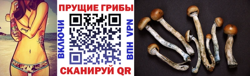 Галлюциногенные грибы мухоморы  Стародуб 